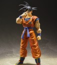SHF Goku SROE 01