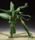 SHF CELL FIRST FORM_02